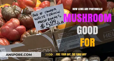 Portobello Mushrooms Shelf Life: Freshness Tips and Storage Guide