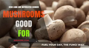 Refrigerated Cooked Mushrooms: Shelf Life and Storage Tips