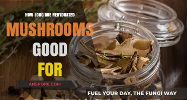 Rehydrated Mushrooms Shelf Life: How Long Do They Stay Fresh?