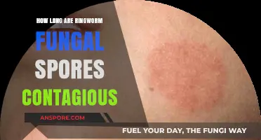 Ringworm Fungal Spores: Contagious Period and Prevention Tips