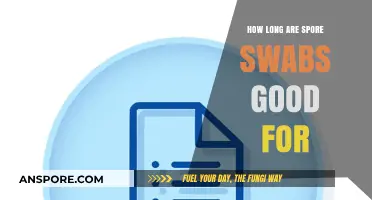 Spore Swab Shelf Life: How Long Do They Remain Viable?