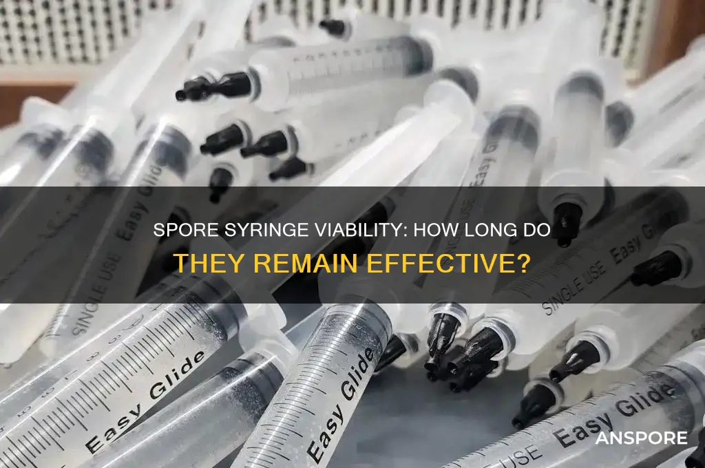 how long are spore syringes viable