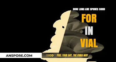 Understanding Vial-Stored Spore Lifespan: Shelf Life and Storage Tips