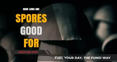 Shelf Life of Spores: How Long Do They Remain Viable?