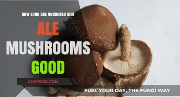Uncooked Shitake Mushrooms: Shelf Life and Freshness Tips