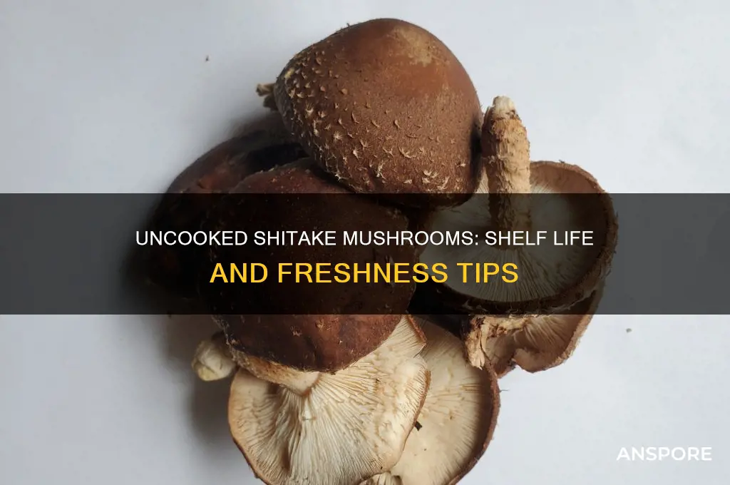 how long are uncooked shit ale mushrooms good