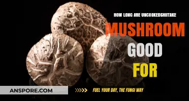 Uncooked Shiitake Mushrooms: Shelf Life and Storage Tips