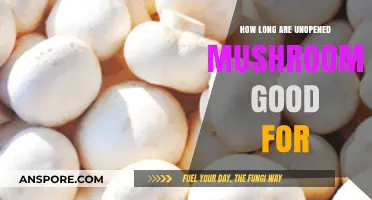 Unopened Mushrooms Shelf Life: How Long Do They Stay Fresh?