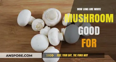 White Mushrooms Shelf Life: How Long Do They Stay Fresh?