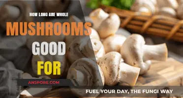 Whole Mushrooms Shelf Life: How Long Do They Stay Fresh?