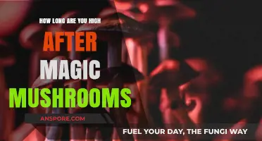 Magic Mushrooms High Duration: Understanding Psilocybin's Effects and Timeline