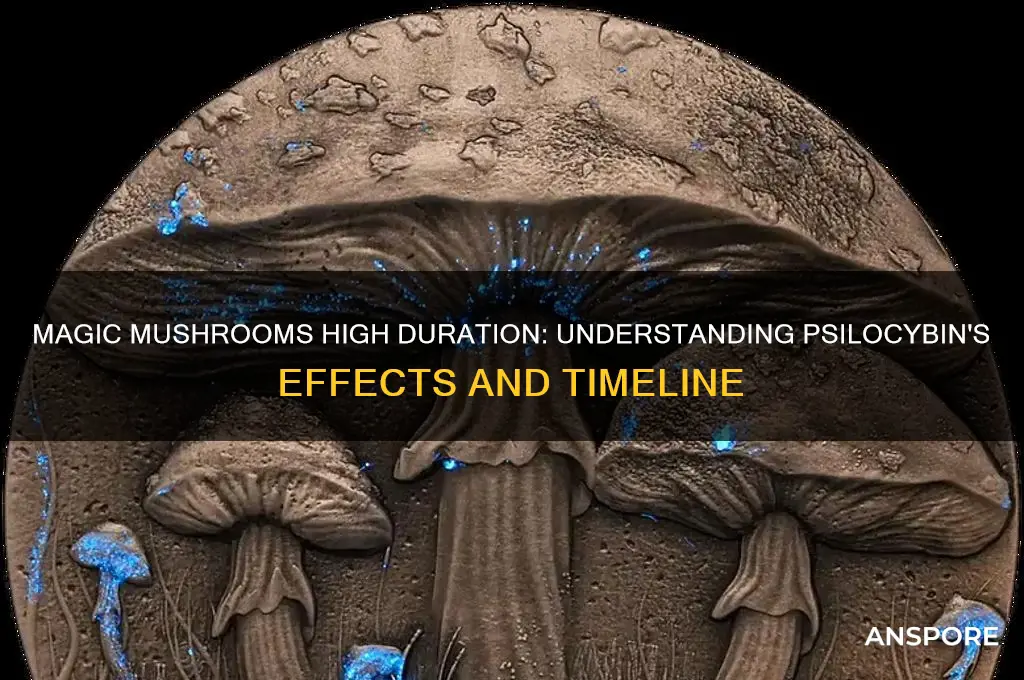 how long are you high after magic mushrooms
