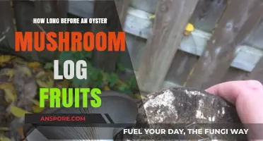 When to Expect Oyster Mushrooms: Timing Your Log's First Fruiting