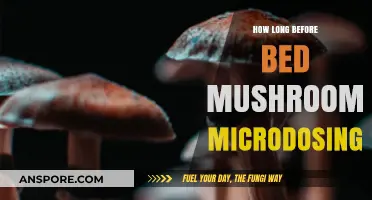 Microdosing Mushrooms: Timing Your Evening Dose for Optimal Sleep