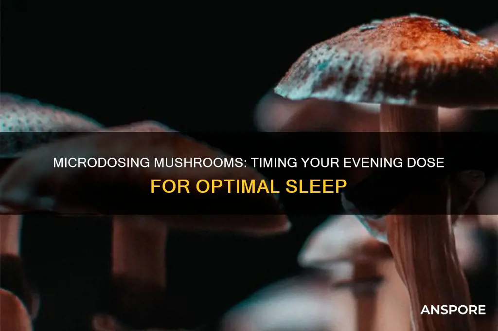 how long before bed mushrooms microdosing
