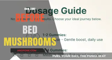 Timing Your Mushroom Intake: Optimal Hours Before Bed for Restful Sleep