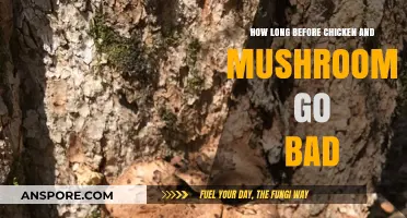 Chicken and Mushrooms Shelf Life: How Long Before They Spoil?