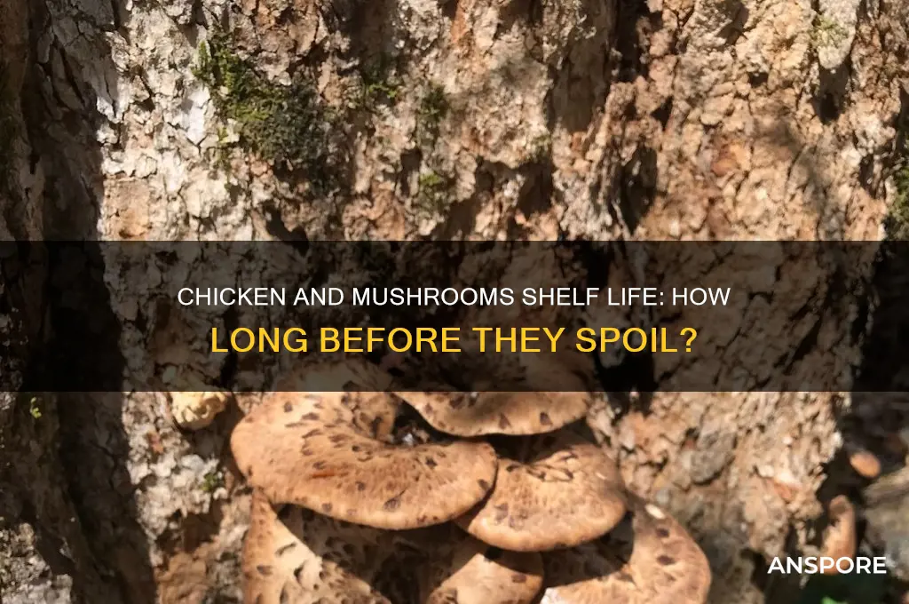 how long before chicken and mushrooms go bad
