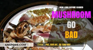 Cooked Mushrooms Shelf Life: How Long Before They Spoil?