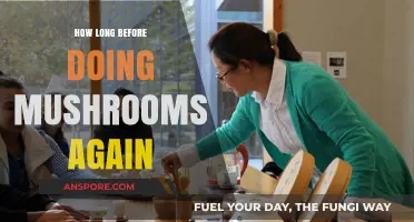 Safe Mushroom Redosing: Timing Your Next Trip Responsibly and Effectively