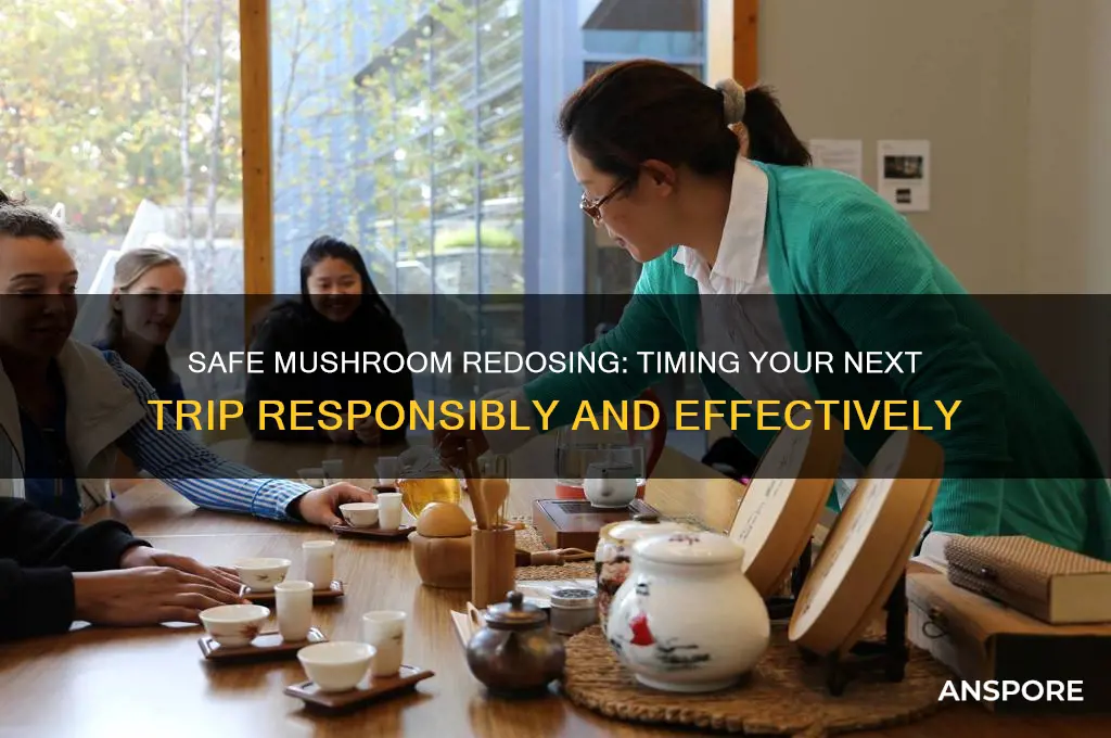 how long before doing mushrooms again