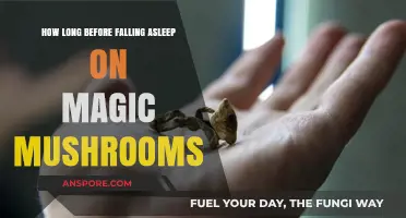 Magic Mushrooms and Sleep: Timing Your Journey to Dreamland