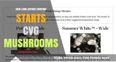 When Do CVG Mushrooms Fruit? A Timeline for Growers