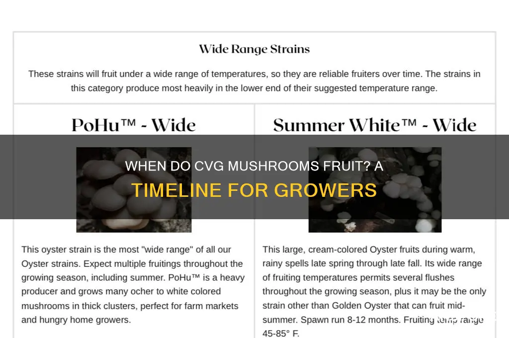 how long before fruiting starts cvg mushrooms