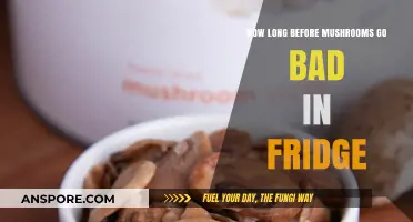 Freshness Timeline: How Long Do Mushrooms Last in the Fridge?