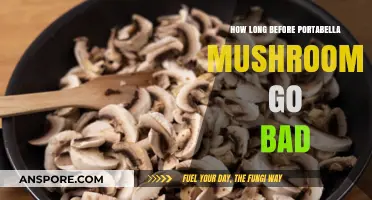 Portabella Mushrooms Shelf Life: How Long Before They Spoil?