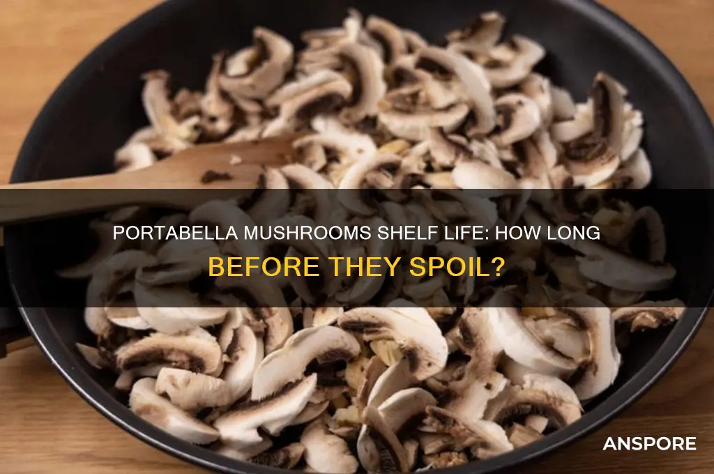 how long before portabella mushrooms go bad