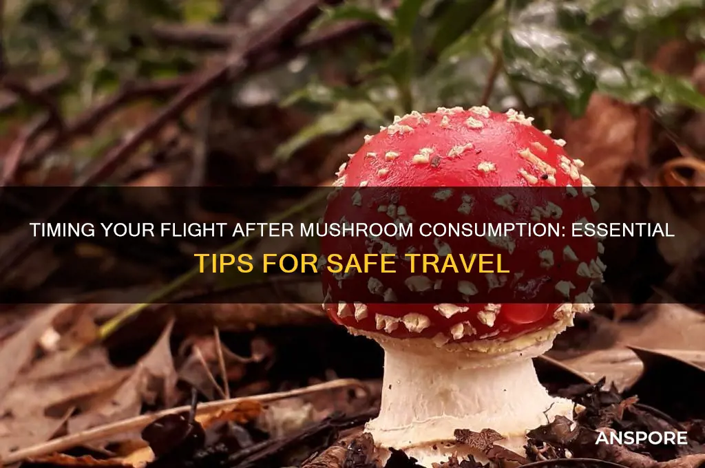 how long before taking flight after eating mushrooms