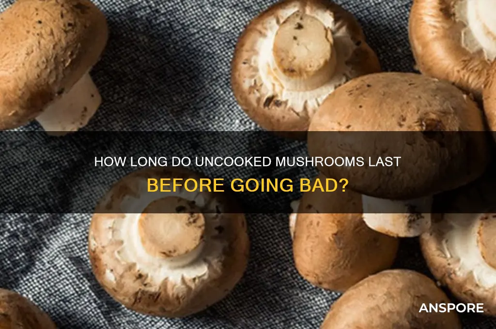 how long before uncooked mushrooms gone bad