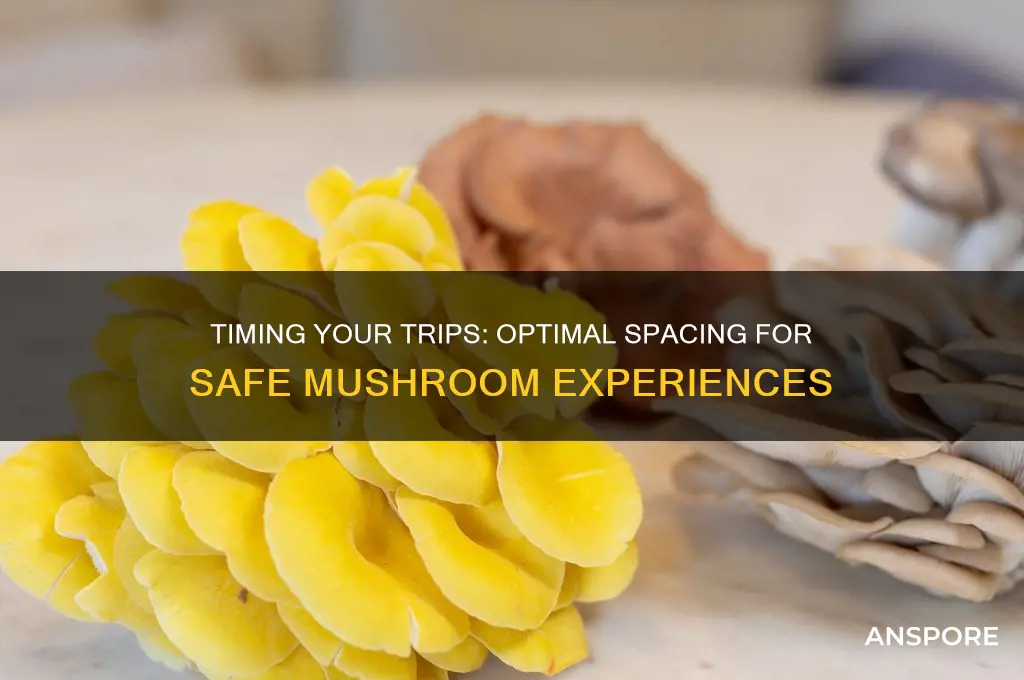 how long between taking mushrooms