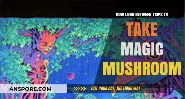 Timing Your Psychedelic Journeys: Optimal Spacing for Magic Mushroom Trips