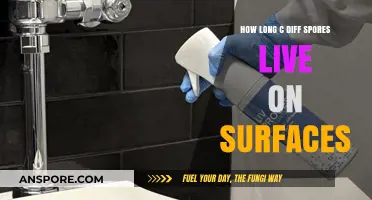 C. Diff Spores Survival: How Long Do They Live on Surfaces?
