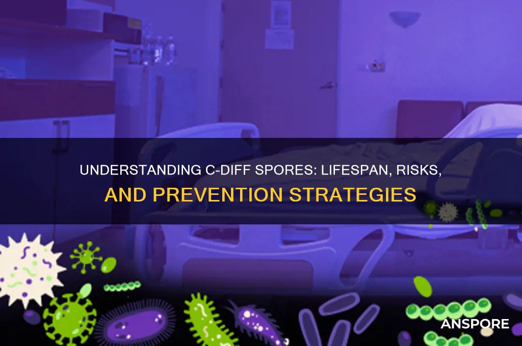 how long c-diff spores live