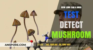 Detecting Mushrooms in Drug Tests: Duration and Factors Explained