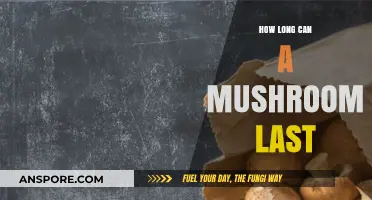 Shelf Life Secrets: How Long Do Mushrooms Stay Fresh?