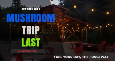 Exploring the Duration: How Long Can a Mushroom Trip Last?
