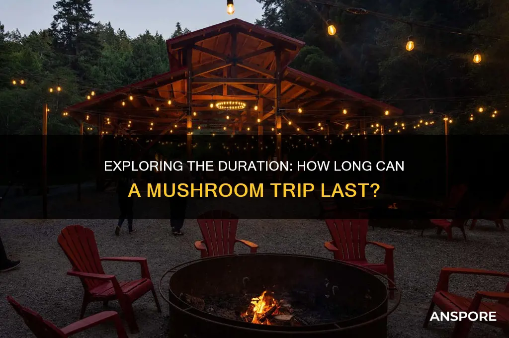 how long can a mushroom trip last