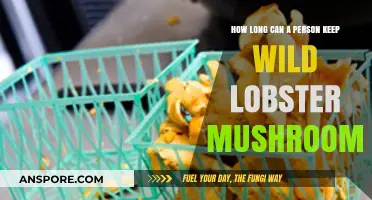 Storing Wild Lobster Mushrooms: Optimal Freshness and Shelf Life Tips