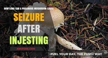 Deadly Mushroom Seizure Risk: How Long After Ingestion?