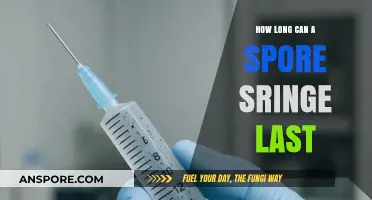 Maximizing Spore Syringe Lifespan: Storage Tips and Shelf Life Explained