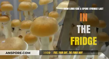 Maximizing Spore Syringe Shelf Life: Fridge Storage Tips and Duration