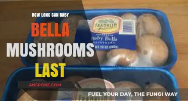 Baby Bella Mushrooms Shelf Life: Storage Tips for Freshness
