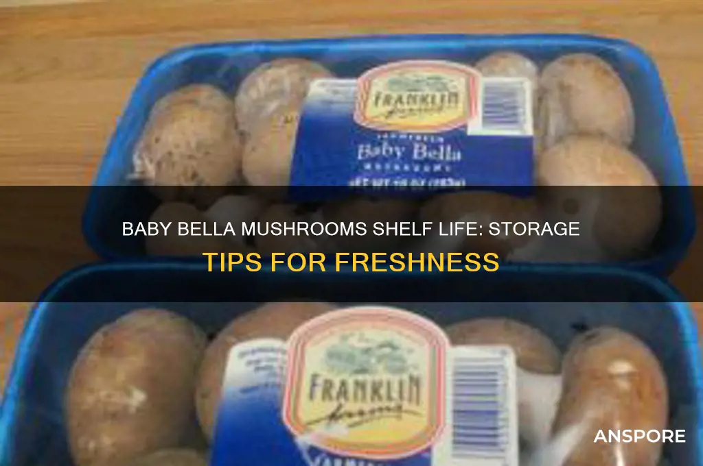 how long can baby bella mushrooms last