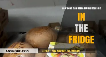 Bella Mushrooms Shelf Life: How Long Do They Last in the Fridge?