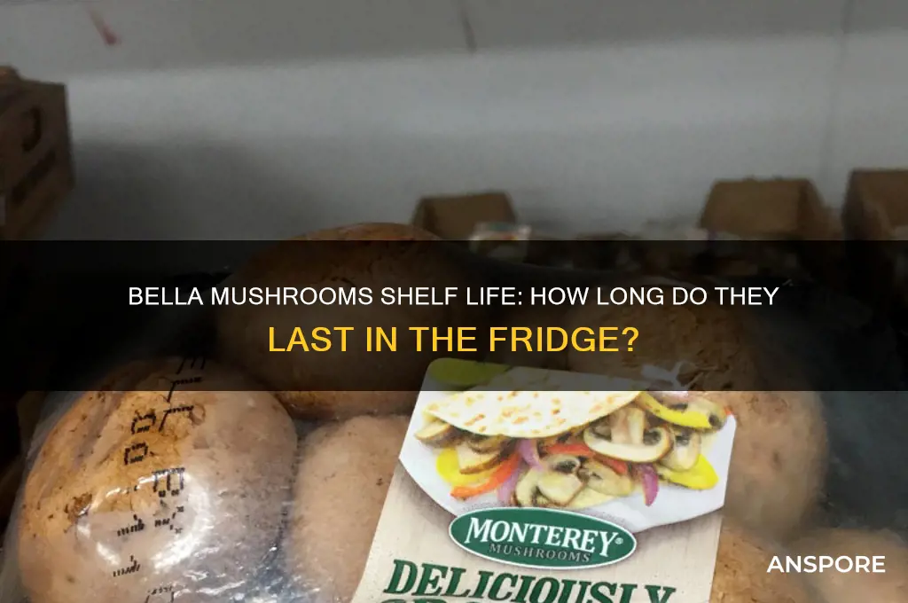 how long can bella mushrooms be in the fridge