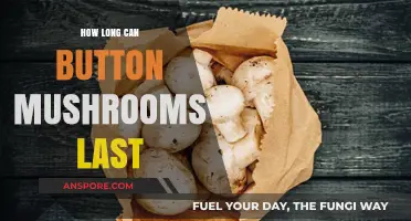 Button Mushrooms Shelf Life: Tips for Freshness and Storage Duration
